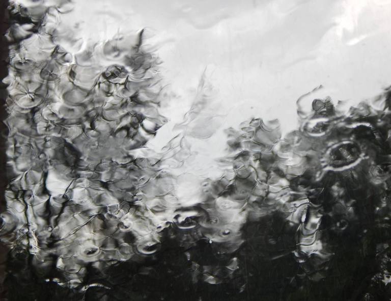 10498561_831223063579731_8913410975729004138_o