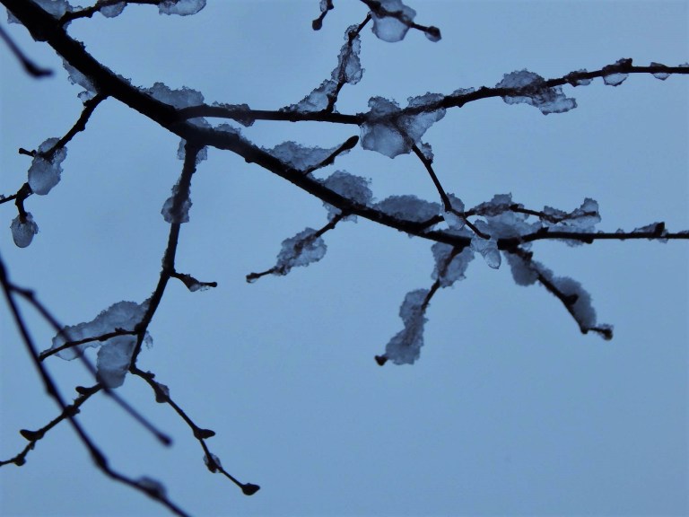 11043225_10204557908921786_8847282879160993122_o