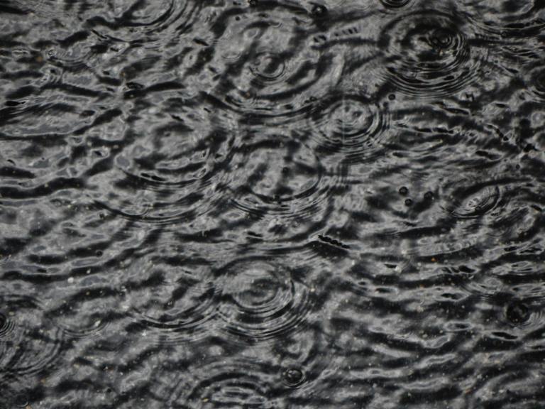 11118489_10205052452365063_1087551257581460016_o