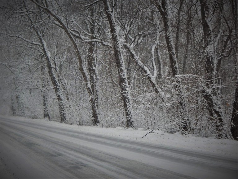 11194437_805024686199569_5474994089110237827_o