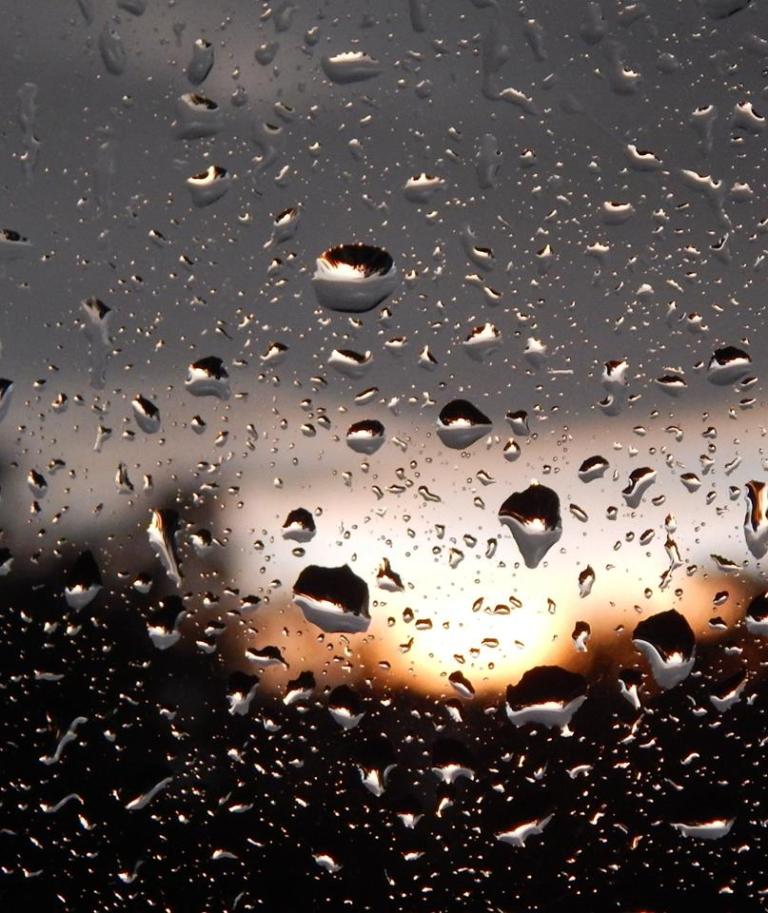 11737831_834894686545902_3555281831732183157_n