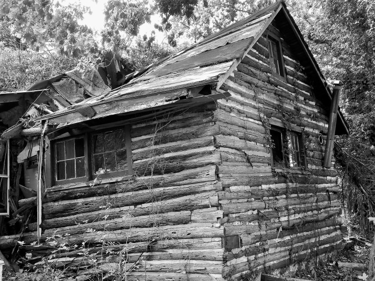 12022495_867128733322497_7768716185994156883_o