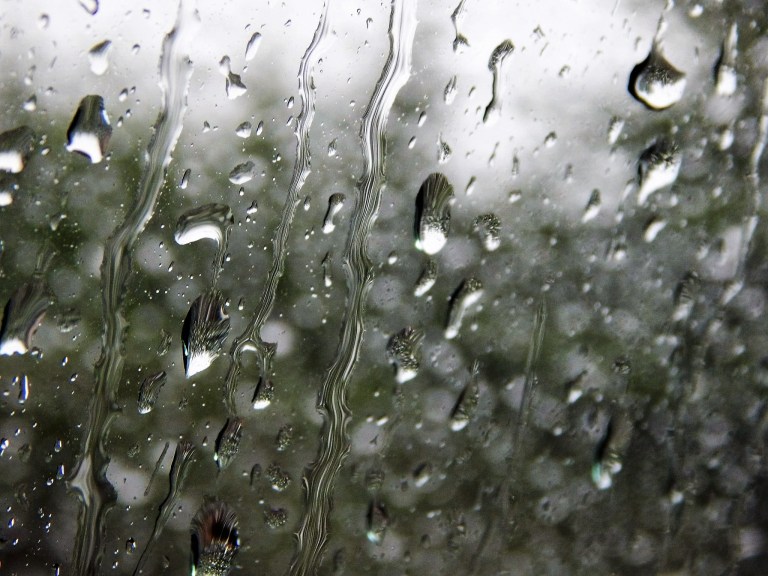 1401867_831222953579742_6523174249735158716_o