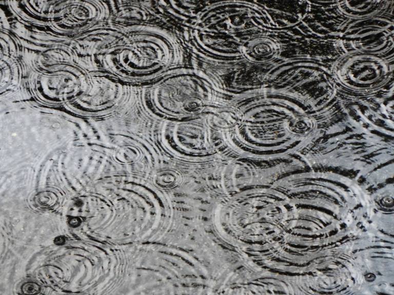 1518707_816703235031714_1707369454983077765_o