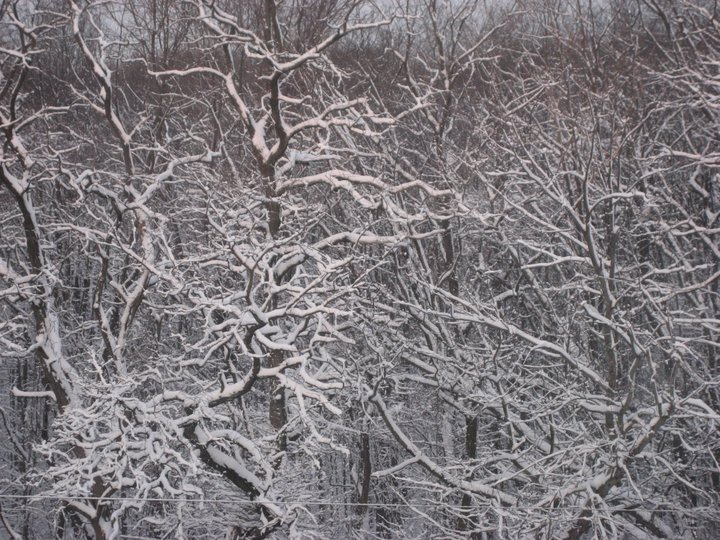 168783_1652170378211_2075867_n