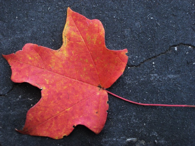 1782447_10203401124882908_5903220872410515517_o