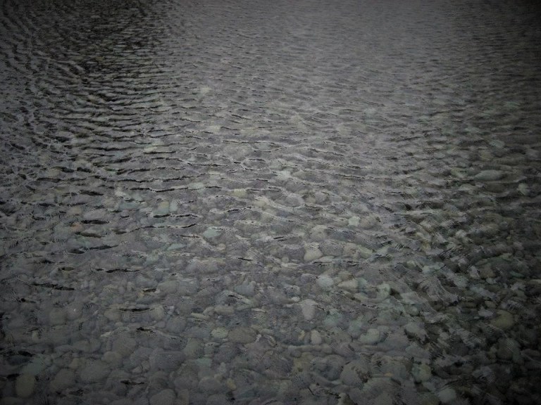 181109_3558984687377_592393689_n