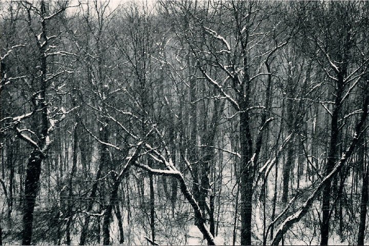 1918585_1326856325563_8265064_n