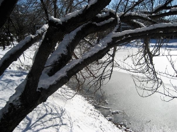 2172_1085244565420_7174_n