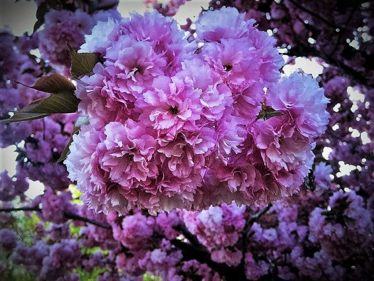 733822_10200152098459278_1708410939_n